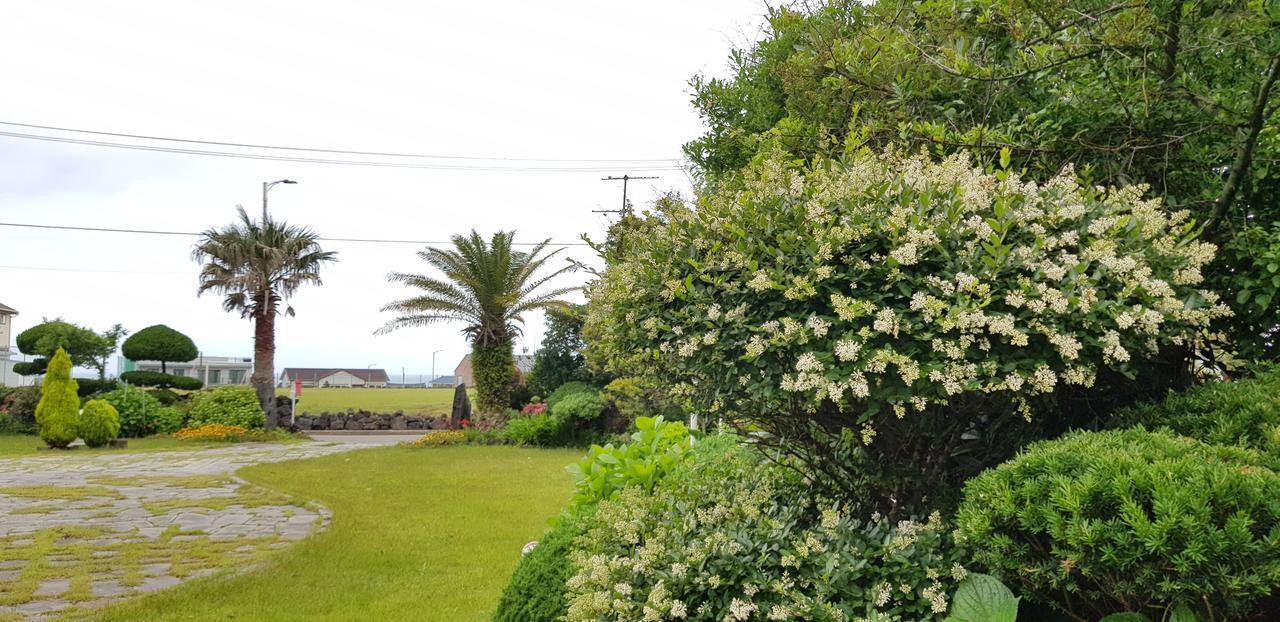 Jeju Again Olle Pension Exterior photo